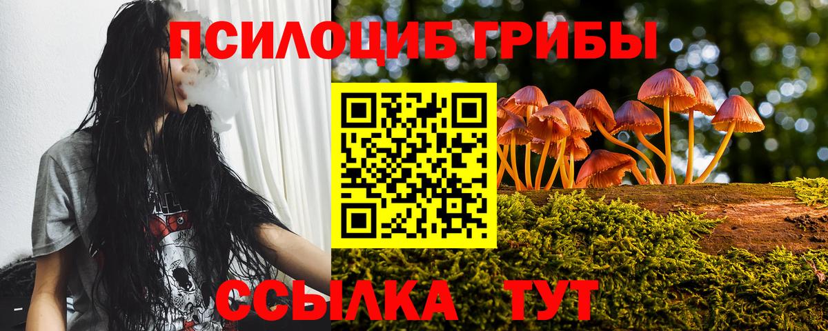 Псилоцибиновые грибы Cubensis Тольятти